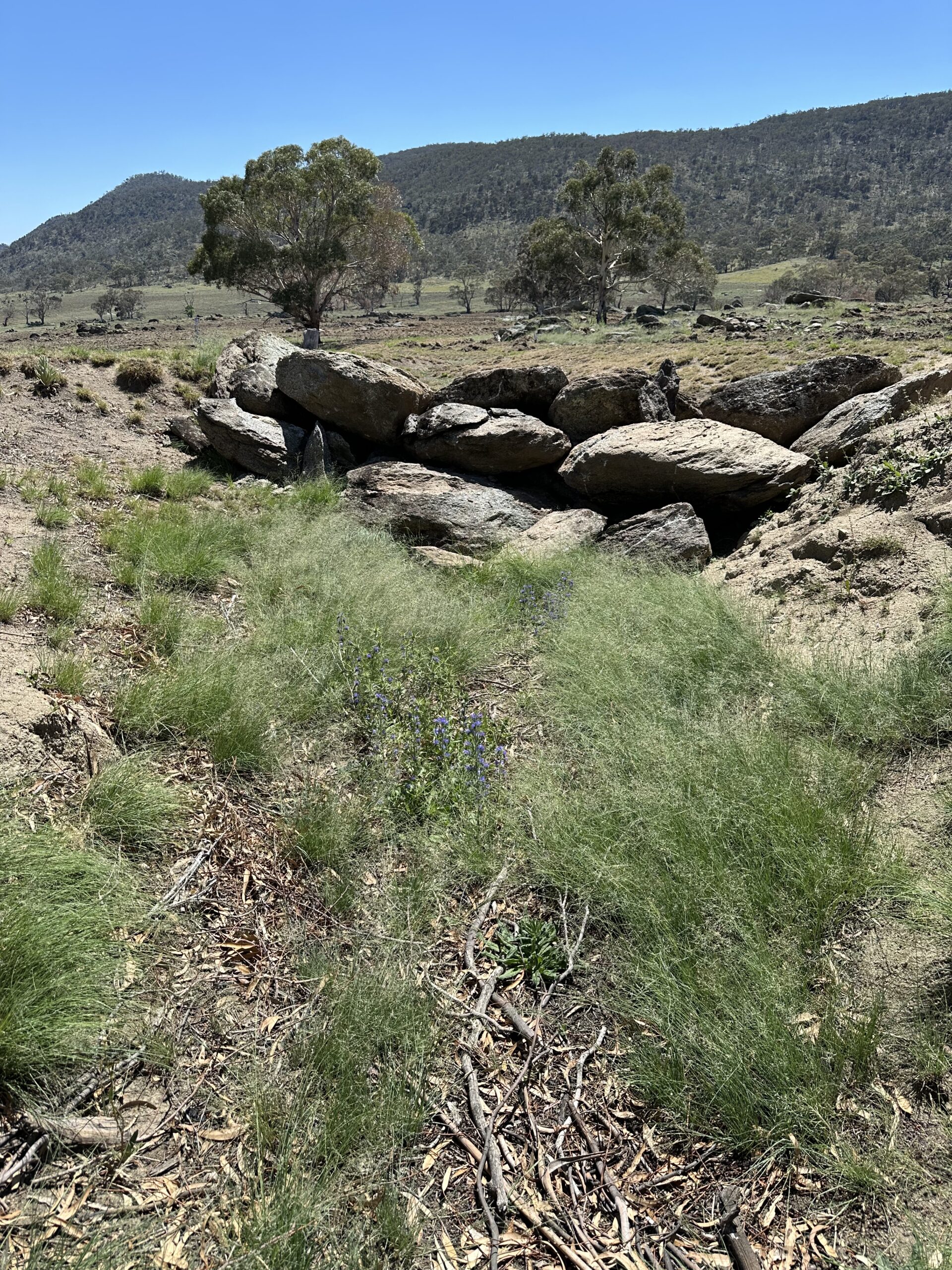 Erosion Control at Gurrabeal